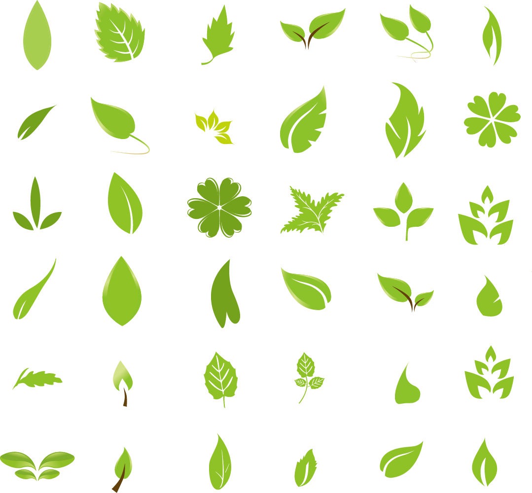 Green Leaf Design Elements Free Vector Graphics All Free Web 